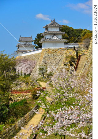 明石市　春の明石公園 131623674