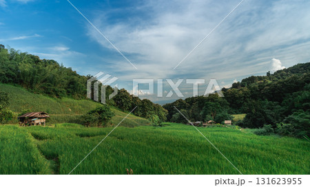 Lush Green Rice Fields Under Blue Sky with Clouds in Serene Mountainous Landscape Surrounded by Nature Lush Green Rice Fields Under Blue Sky with Clouds in Serene Mountainous Landscape Surrounded by Nature 131623955