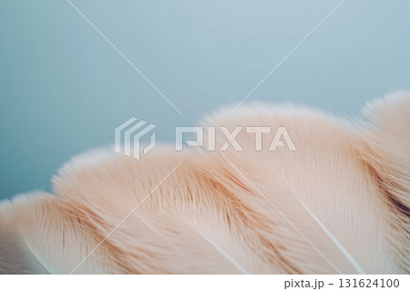 Soft pink feathers elegantly arranged against a light backdrop 131624100