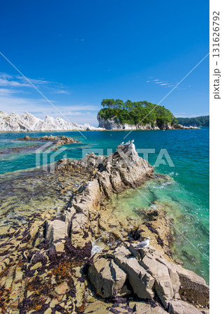 ウミネコが集う浄土ヶ浜の風景　三陸の絶景 131626792