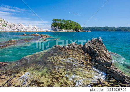 ウミネコが集う浄土ヶ浜の風景　三陸の絶景 131626793