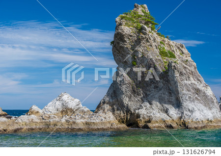 ウミネコが集う浄土ヶ浜の風景 三陸の絶景 ウミネコが集う浄土ヶ浜の風景 三陸の絶景 131626794