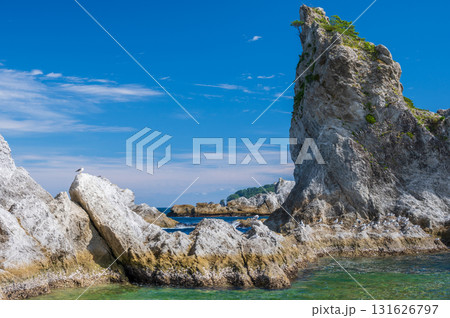 ウミネコが集う浄土ヶ浜の風景　三陸の絶景 131626797