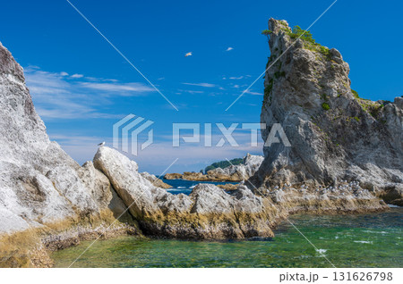 ウミネコが集う浄土ヶ浜の風景　三陸の絶景 131626798