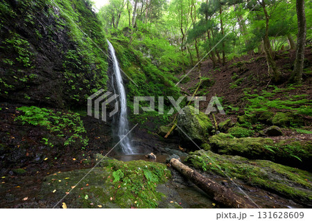 大天井滝(奈良県吉野郡川上村) 大天井滝(奈良県吉野郡川上村) 131628609