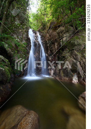 楊梅の滝 雌滝（滋賀県大津市北小松） 131629216