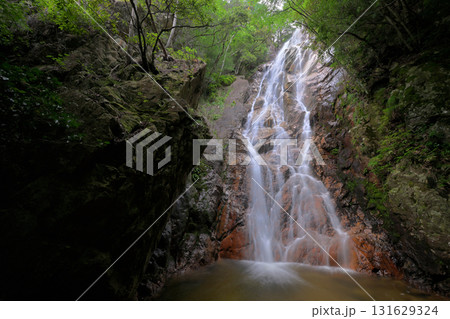 楊梅の滝 雄滝(滋賀県大津市北小松) 楊梅の滝 雄滝(滋賀県大津市北小松) 131629324