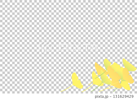 Illustration of colorful fallen ginkgo leaves Illustration of colorful fallen ginkgo leaves 131629429