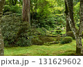 京都三千院　苔が美しい日本庭園 131629602