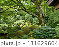 京都三千院　苔が美しい日本庭園 131629604