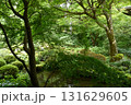 京都三千院　苔が美しい日本庭園 131629605