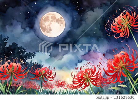 月と彼岸花(水彩画風) 131629630