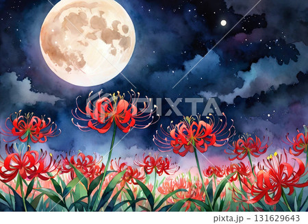 月と彼岸花(水彩画風) 131629643
