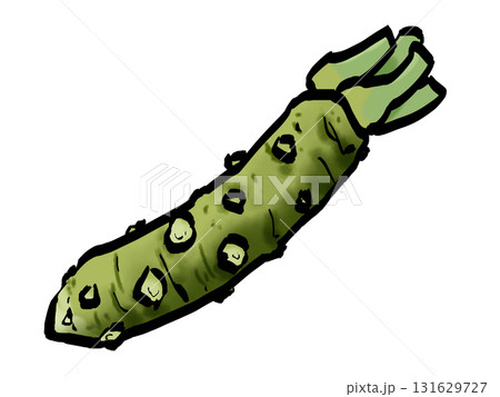 本わさびのイラスト (筆タッチ・薬味) シンプル 本わさびのイラスト (筆タッチ・薬味) シンプル 131629727