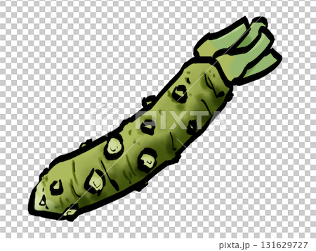 本わさびのイラスト (筆タッチ・薬味) シンプル 本わさびのイラスト (筆タッチ・薬味) シンプル 131629727