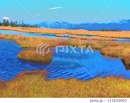 池塘の風波（afr20250924090315） 131630003