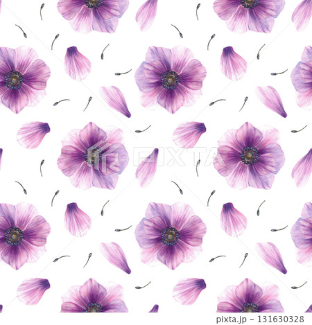 Purple flowers with petals and stamens from watercolor anemone buds seamless pattern. Hand drawn Pink gender windflowers, delicate floral fabric, wallpaper on Isolated white background illustration 131630328