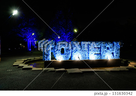 東京都 足立区 舎人公園 噴水広場のライトアップ(花と光のムーブメント) 東京都 足立区 舎人公園 噴水広場のライトアップ(花と光のムーブメント) 131630342