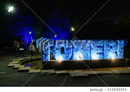 東京都 足立区 舎人公園 噴水広場のライトアップ(花と光のムーブメント) 東京都 足立区 舎人公園 噴水広場のライトアップ(花と光のムーブメント) 131630343