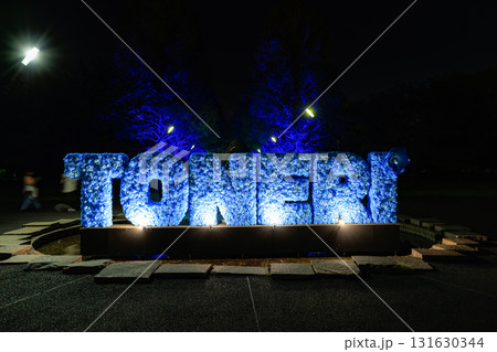 東京都 足立区 舎人公園 噴水広場のライトアップ(花と光のムーブメント) 東京都 足立区 舎人公園 噴水広場のライトアップ(花と光のムーブメント) 131630344