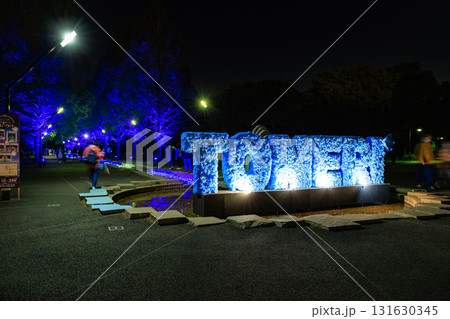 東京都 足立区 舎人公園 噴水広場のライトアップ(花と光のムーブメント) 東京都 足立区 舎人公園 噴水広場のライトアップ(花と光のムーブメント) 131630345