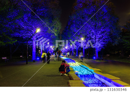 東京都 足立区 舎人公園 噴水広場のライトアップ(花と光のムーブメント) 東京都 足立区 舎人公園 噴水広場のライトアップ(花と光のムーブメント) 131630346
