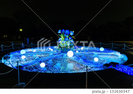 東京都 足立区 舎人公園 噴水広場のライトアップ(花と光のムーブメント) 東京都 足立区 舎人公園 噴水広場のライトアップ(花と光のムーブメント) 131630347