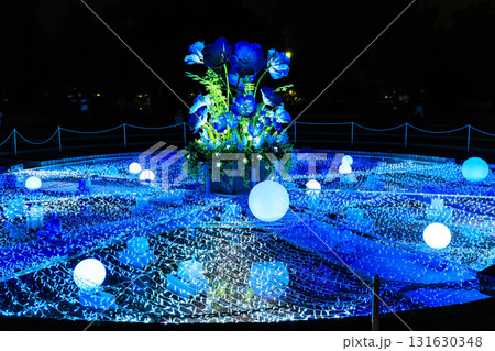 東京都　足立区　舎人公園　噴水広場のライトアップ（花と光のムーブメント） 131630348