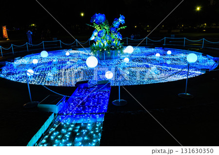 東京都 足立区 舎人公園 噴水広場のライトアップ(花と光のムーブメント) 東京都 足立区 舎人公園 噴水広場のライトアップ(花と光のムーブメント) 131630350