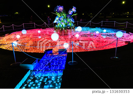 東京都 足立区 舎人公園 噴水広場のライトアップ(花と光のムーブメント) 東京都 足立区 舎人公園 噴水広場のライトアップ(花と光のムーブメント) 131630353