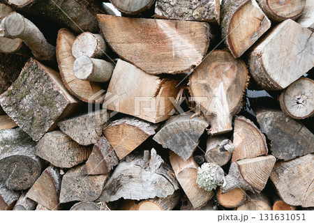積まれた薪 積まれた薪 131631051