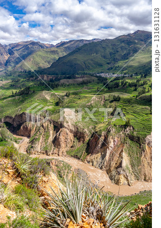 Colca Canyon with a clear blue sky, Peru 131631128