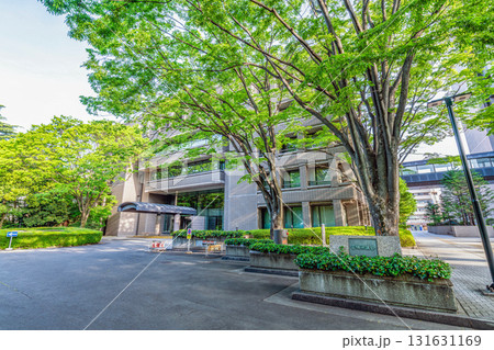 宮城県仙台市 宮城県議会 宮城県仙台市 宮城県議会 131631169
