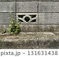 ブロック塀、壁、コンクリート、テクスチャ、質感、草 131631438
