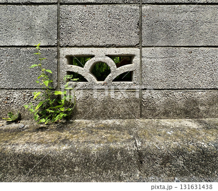 ブロック塀、壁、コンクリート、テクスチャ、質感、草 131631438