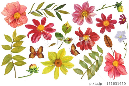 A set of vibrant autumn dahlias. Autumn leaves and butterflies. Hand-drawn watercolor botanical illustration. 131631450