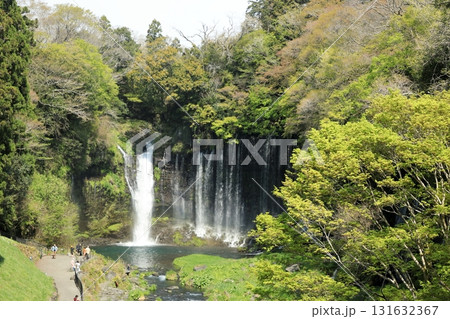 富士山 白糸の滝 富士宮市 絶景スポット 富士山 白糸の滝 富士宮市 絶景スポット 131632367