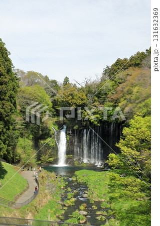 富士山　白糸の滝　富士宮市　絶景スポット 131632369