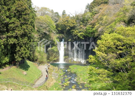 富士山　白糸の滝　富士宮市　絶景スポット 131632370