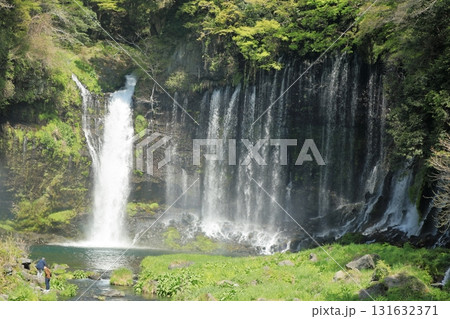 富士山 白糸の滝 富士宮市 絶景スポット 富士山 白糸の滝 富士宮市 絶景スポット 131632371