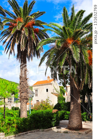 Palms and medieval houses, old town Budva, historical center. Picturesque pedestrian street with old medieval buildings, Budva, Montenegro. Topic of summer vacation, travel, cruises and tours Palms and medieval houses, old town Budva, historical center. Picturesque pedestrian street with old medieval buildings, Budva, Montenegro. Topic of summer vacation, travel, cruises and tours 131632769