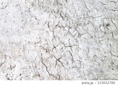 Background with texture of stucco and cracked paint. Horizontal or vertical banner with stucco wall surface with chipped old paint of white color Background with texture of stucco and cracked paint. Horizontal or vertical banner with stucco wall surface with chipped old paint of white color 131632780