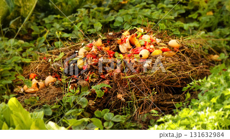 diverse compost pile showing recognizable food scraps like red fruit peels and fresh green vegetable waste. compost pile food scraps red green outside. food waste management natural pile 131632984