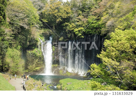 富士山 白糸の滝 富士宮市 絶景スポット 富士山 白糸の滝 富士宮市 絶景スポット 131633029