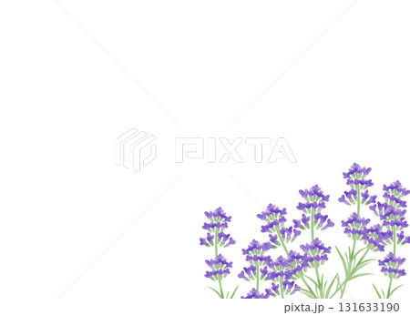 水彩風　ラベンダーの背景イラスト 131633190
