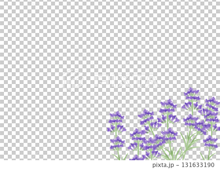 水彩風　ラベンダーの背景イラスト 131633190
