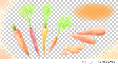 キッチンに彩りを！ニンジンとスライスの水彩画 131633293