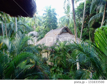 藁ぶき屋根の建物 藁ぶき屋根の建物 131633500