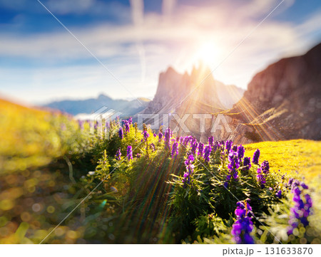 Italian dolomites Italian dolomites 131633870