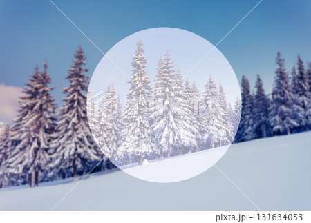 Amazing winter landscape Amazing winter landscape 131634053